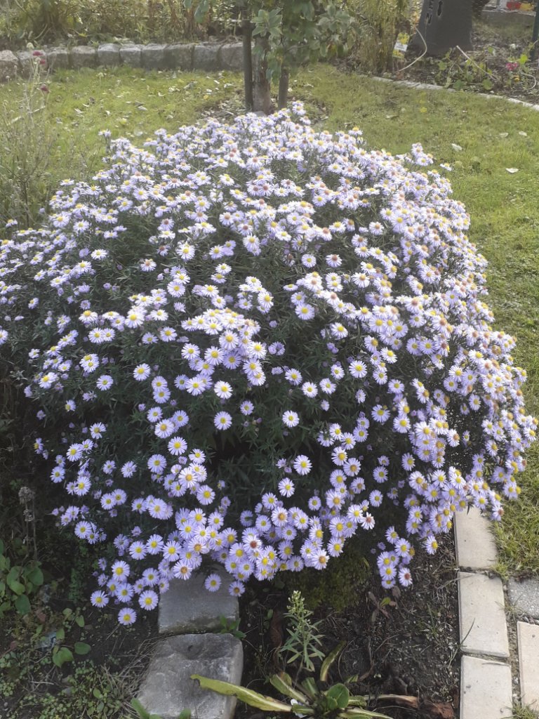 20201010_112218.jpg