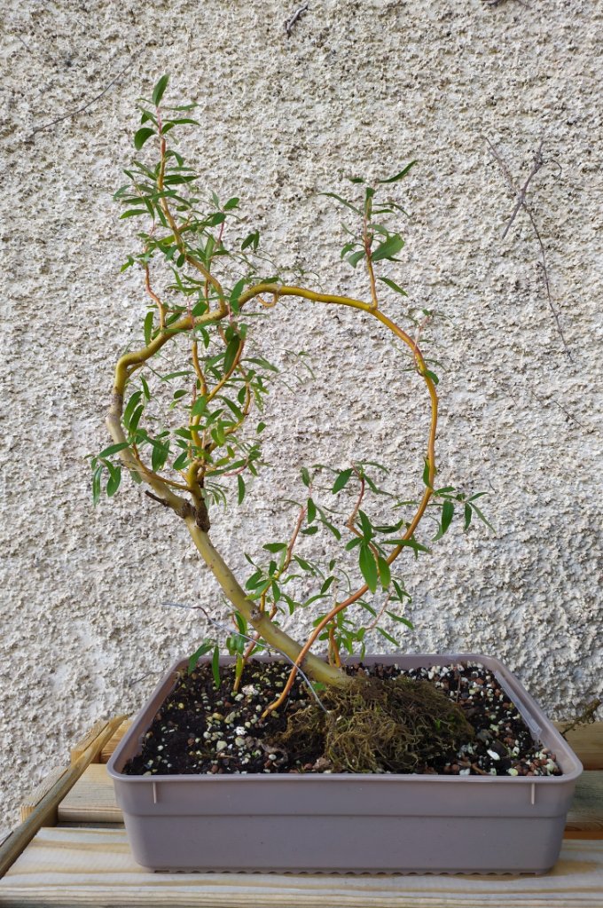 iMarkup_20201010_174533.jpg