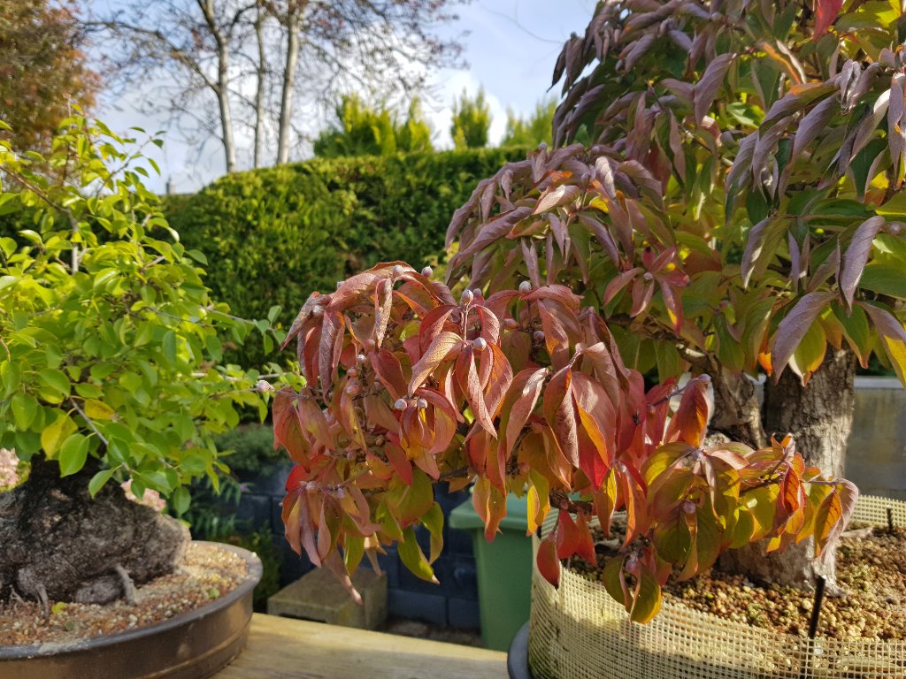 20201018_120606.jpg