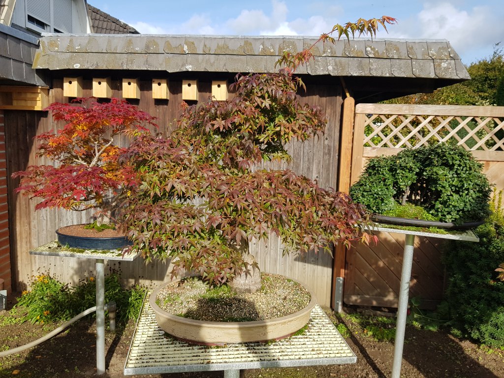 20201018_120311.jpg