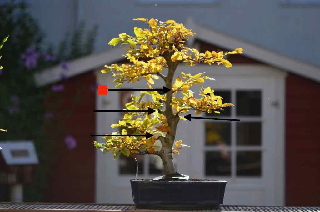 DSC_1689-2.jpeg