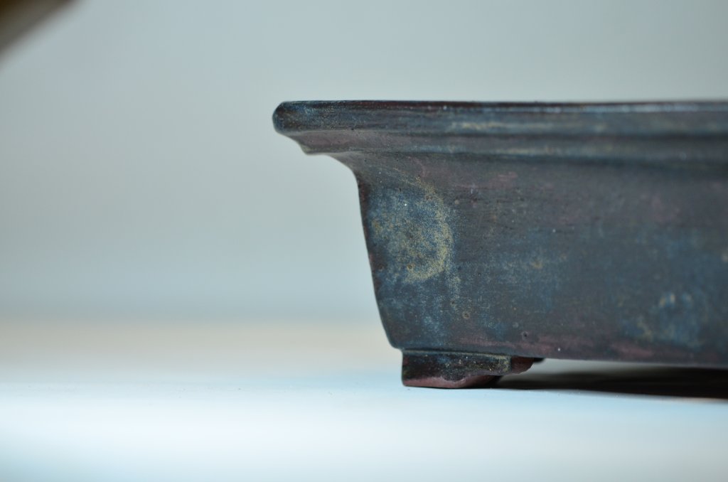 DSC_1732.JPG