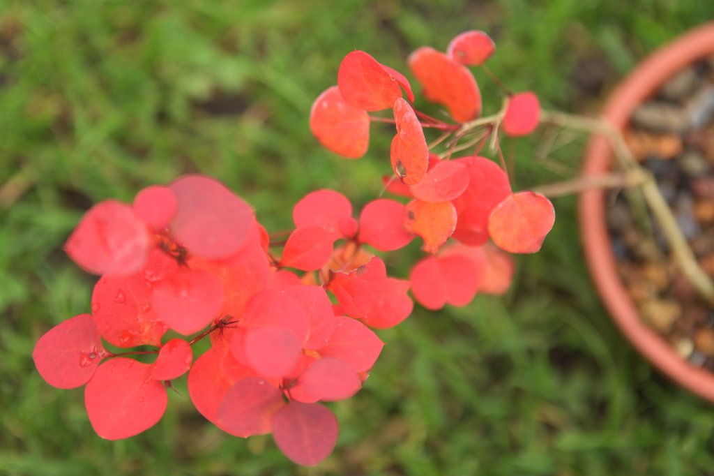 20201026.jpg