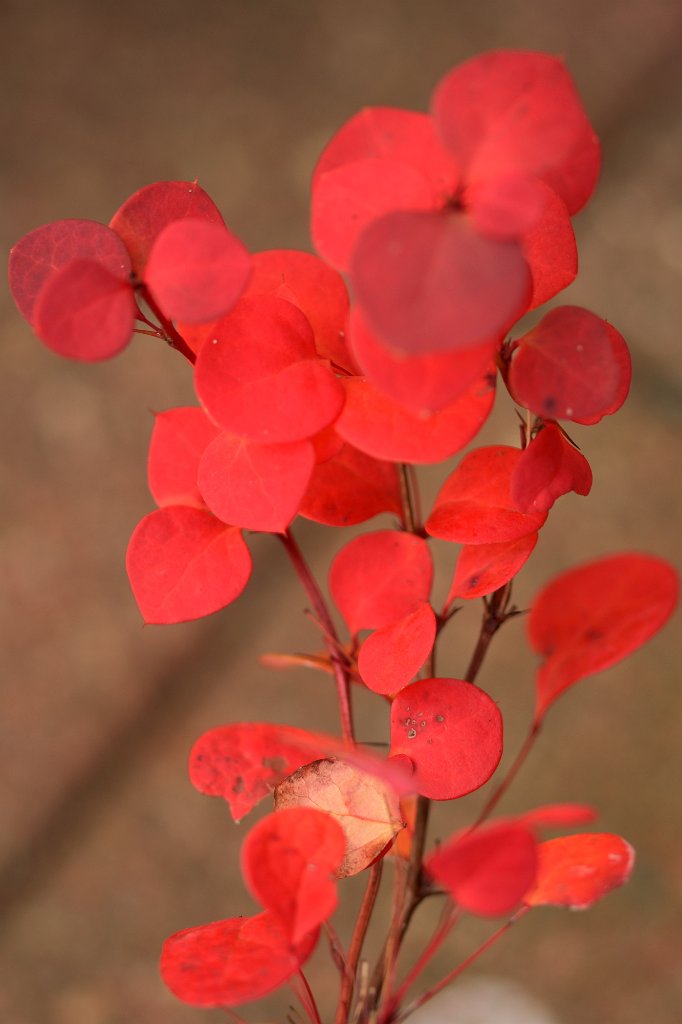 20201028.jpg