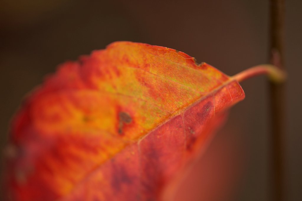 20201028.jpg