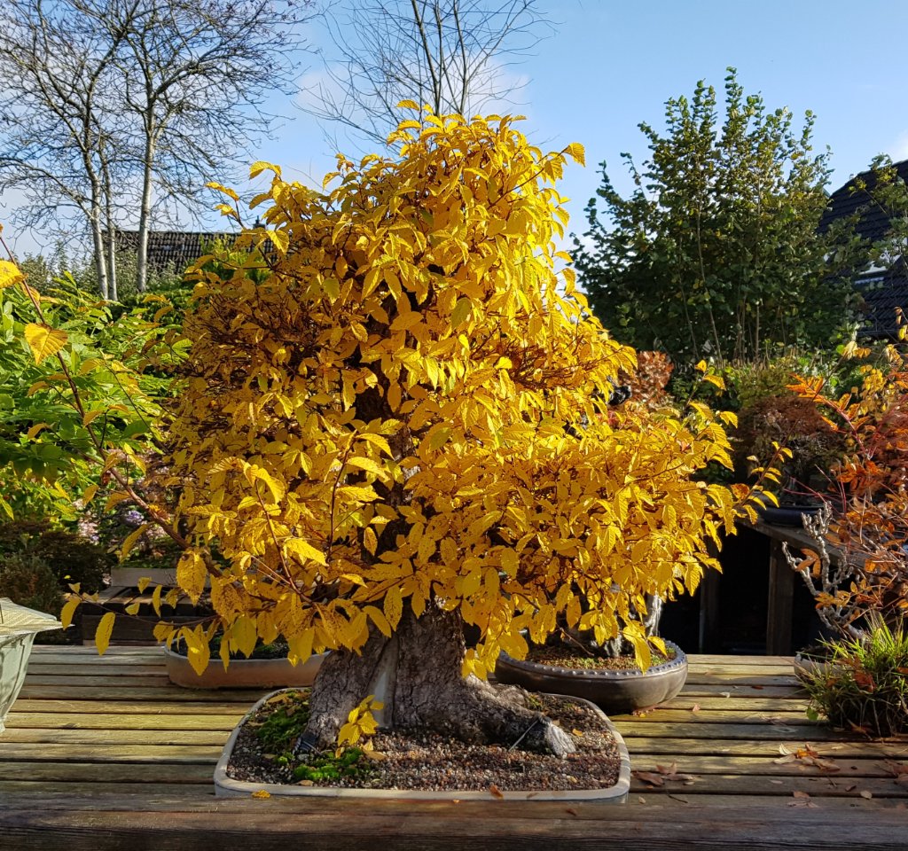 20201029_112617.jpg
