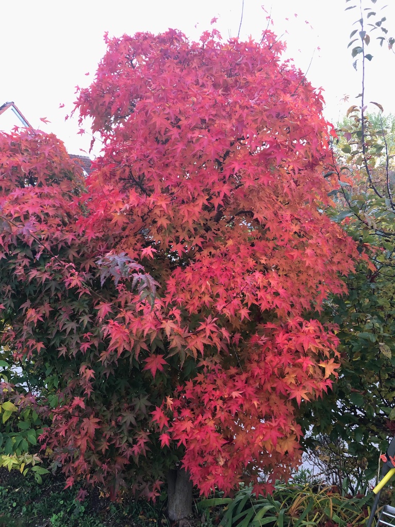 28. Okt