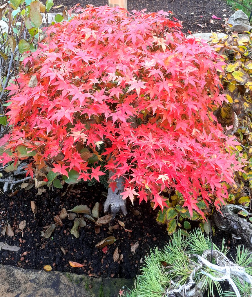 20201026_130509.jpg