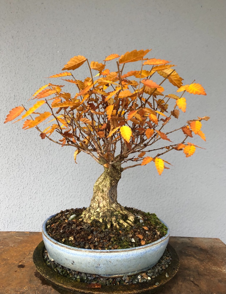 03. Nov 2020