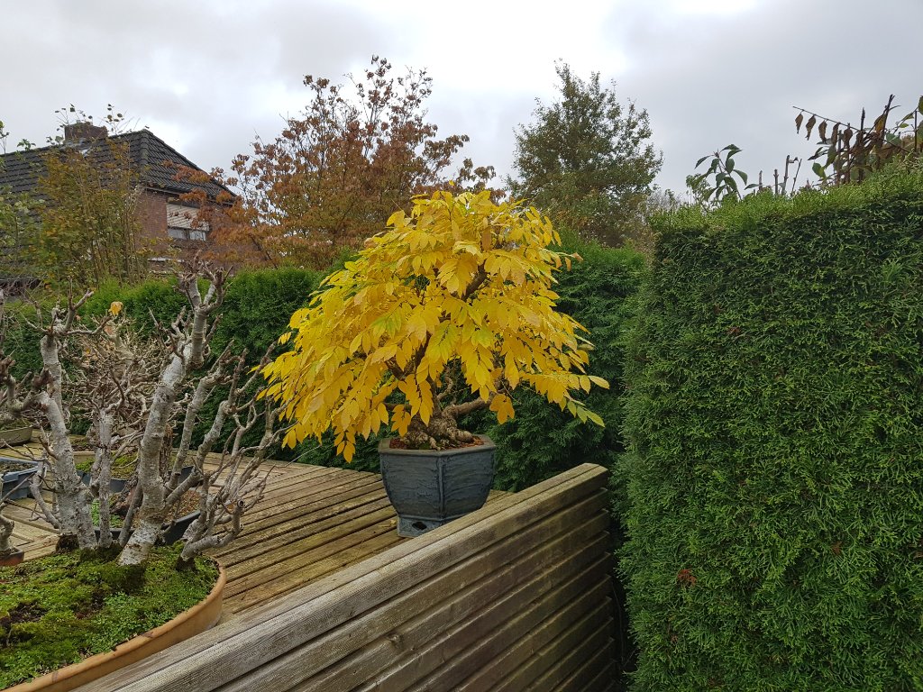 20201106_103253.jpg