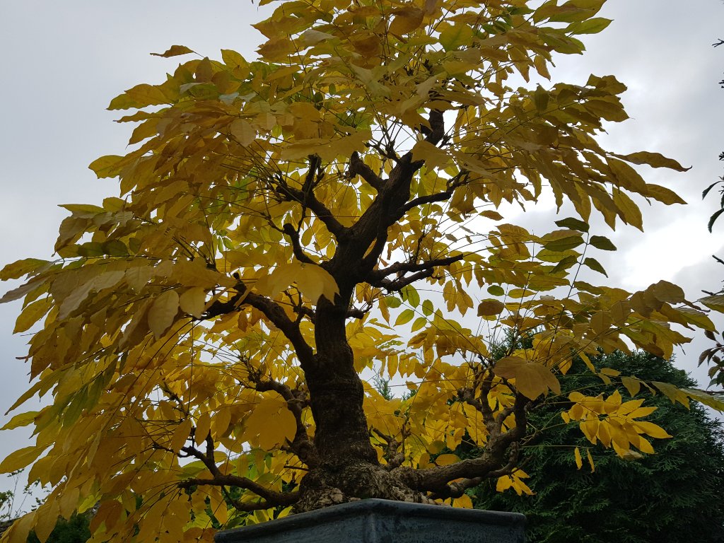 20201106_103306.jpg