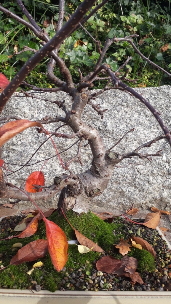 20201107_145743_resized.jpg