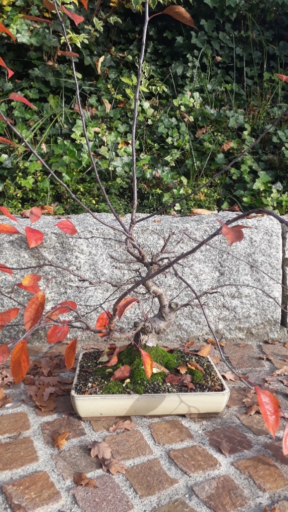 20201107_145730_resized.jpg