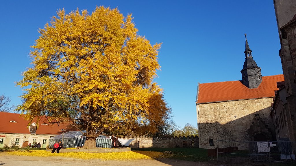 20201107_144849.jpg
