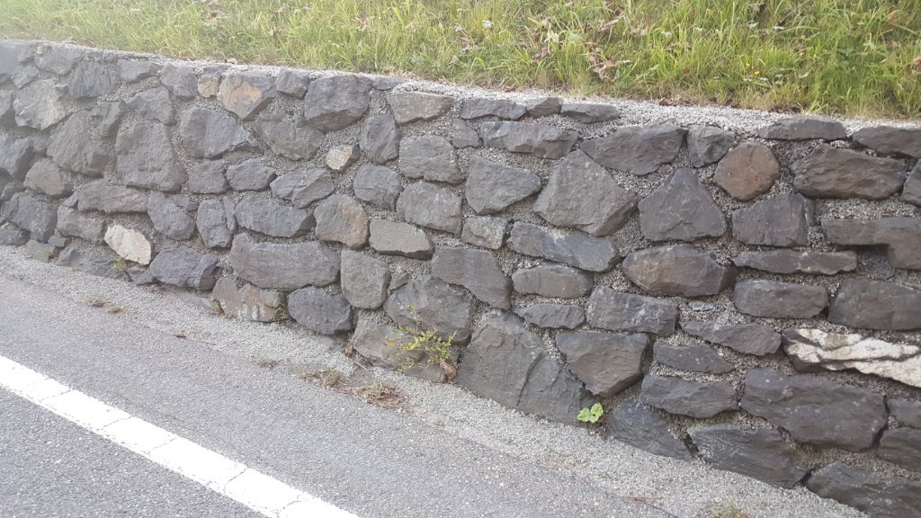 20201109_153616.jpg