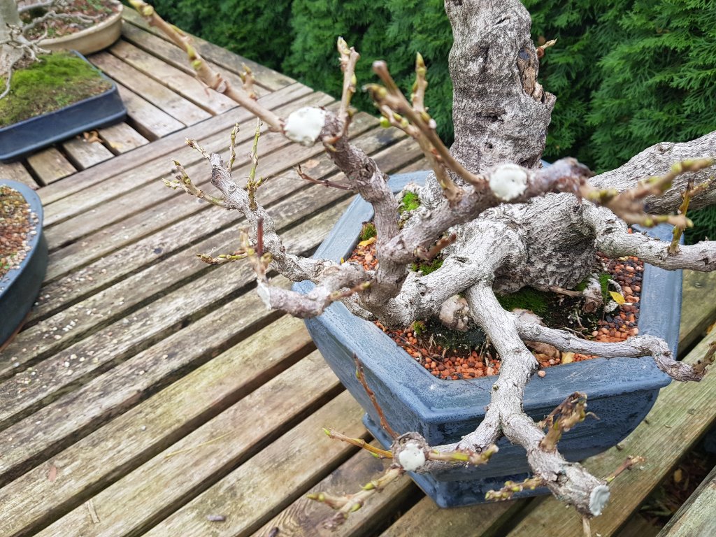 20201110_120745.jpg
