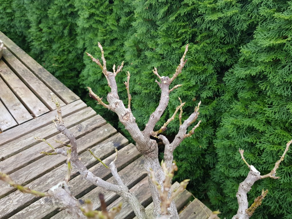 20201110_121003.jpg