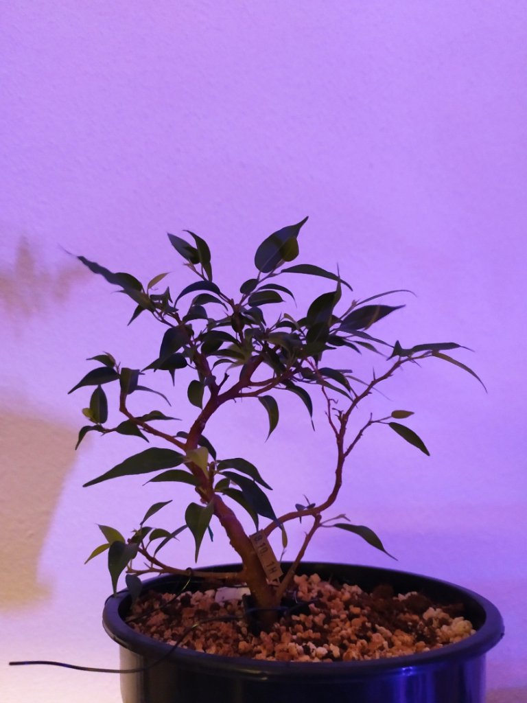 iMarkup_20201110_175918.jpg