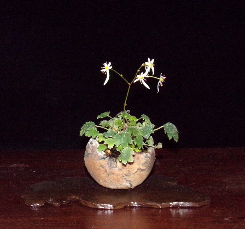 Oktoberle am 17.11.2020.jpg
