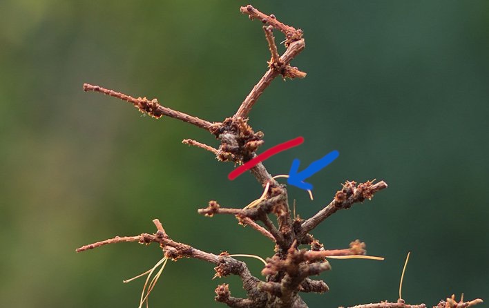 Antenne 2020_v.jpg