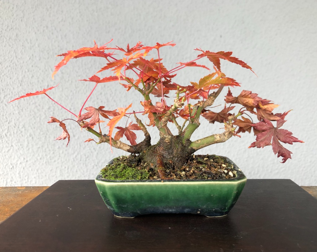 16. Nov 2020