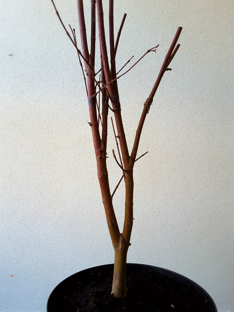 20201122_114635.jpg
