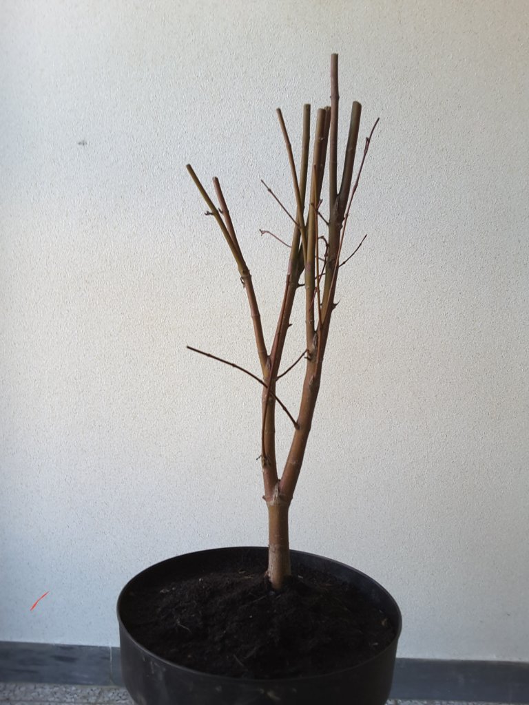 20201122_114751.jpg