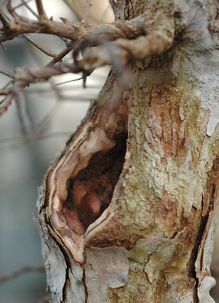 Dsc_0159v.jpg