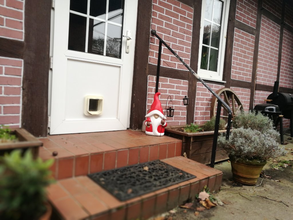 IMG_20201209_125927.jpg
