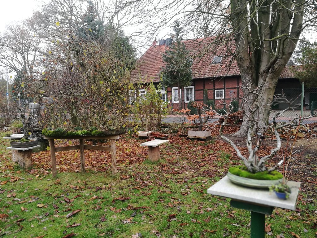 IMG_20201209_130020.jpg