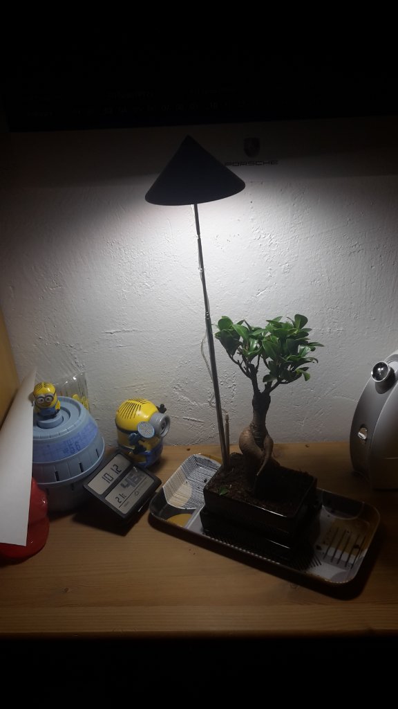 Gesamtbild