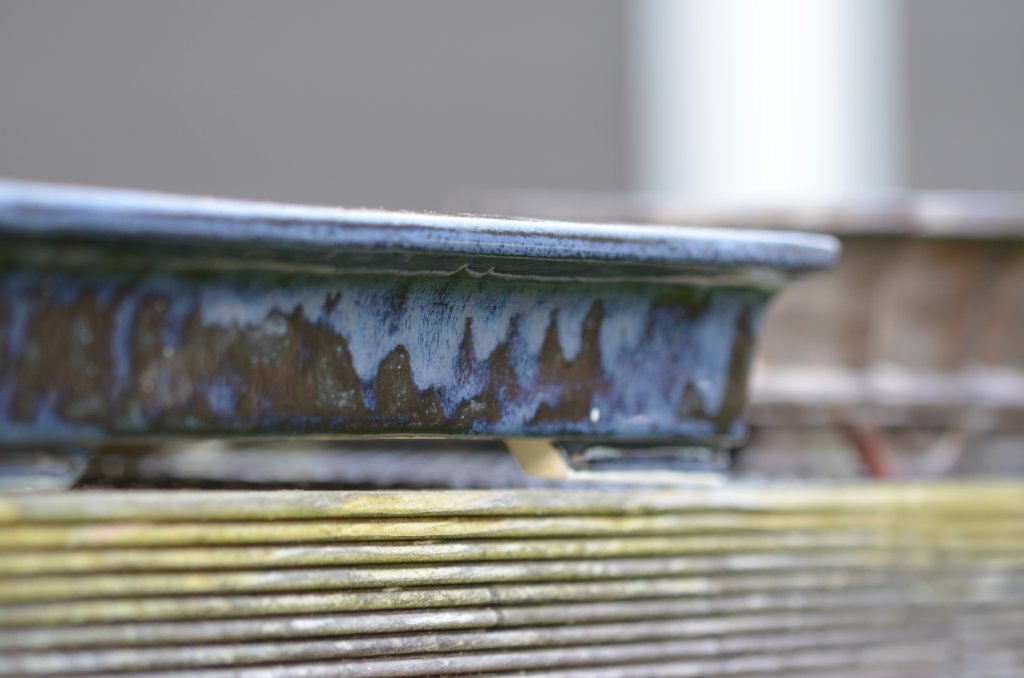 DSC_1848.JPG