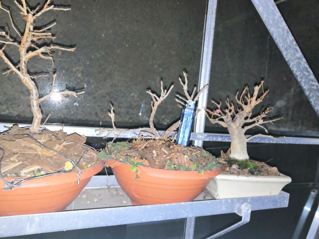 2020_12_002.jpg