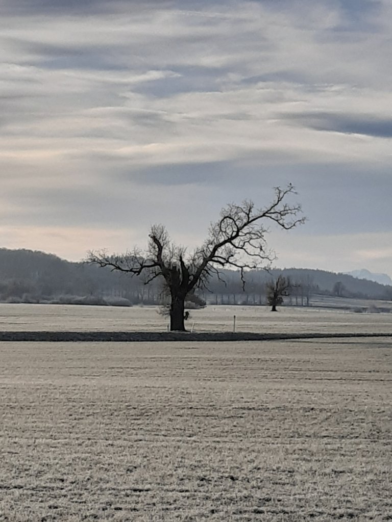 20201220_094114.jpg