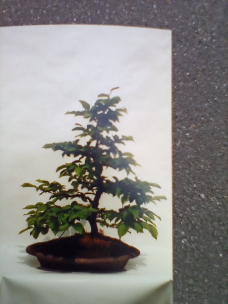 IMG_20201220_155400.jpg