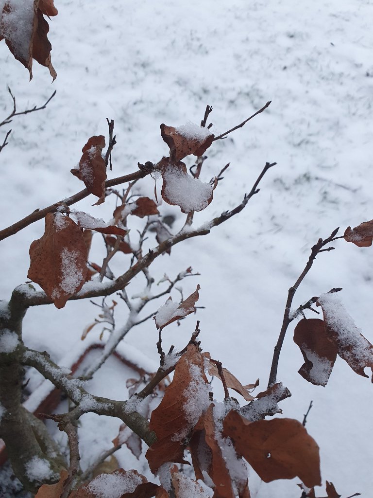 20210103_083334.jpg