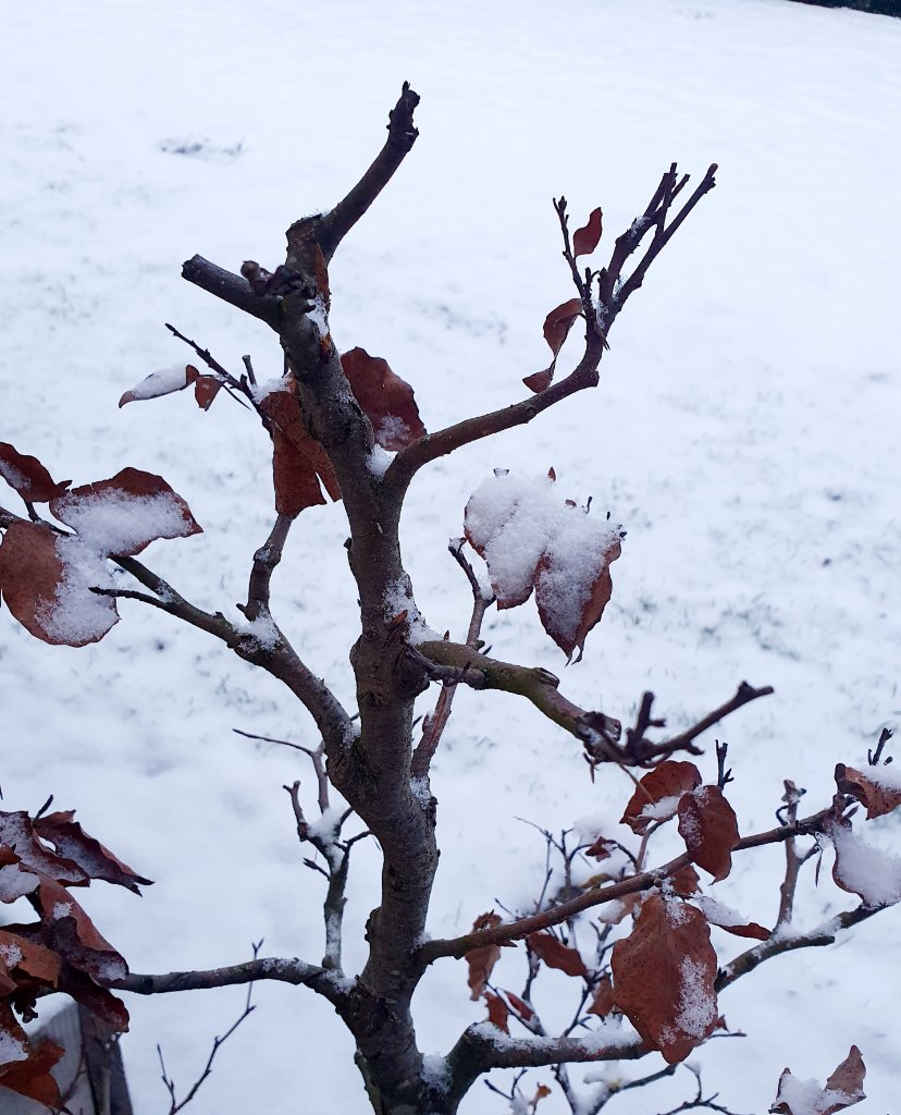 20210103_092943.jpg