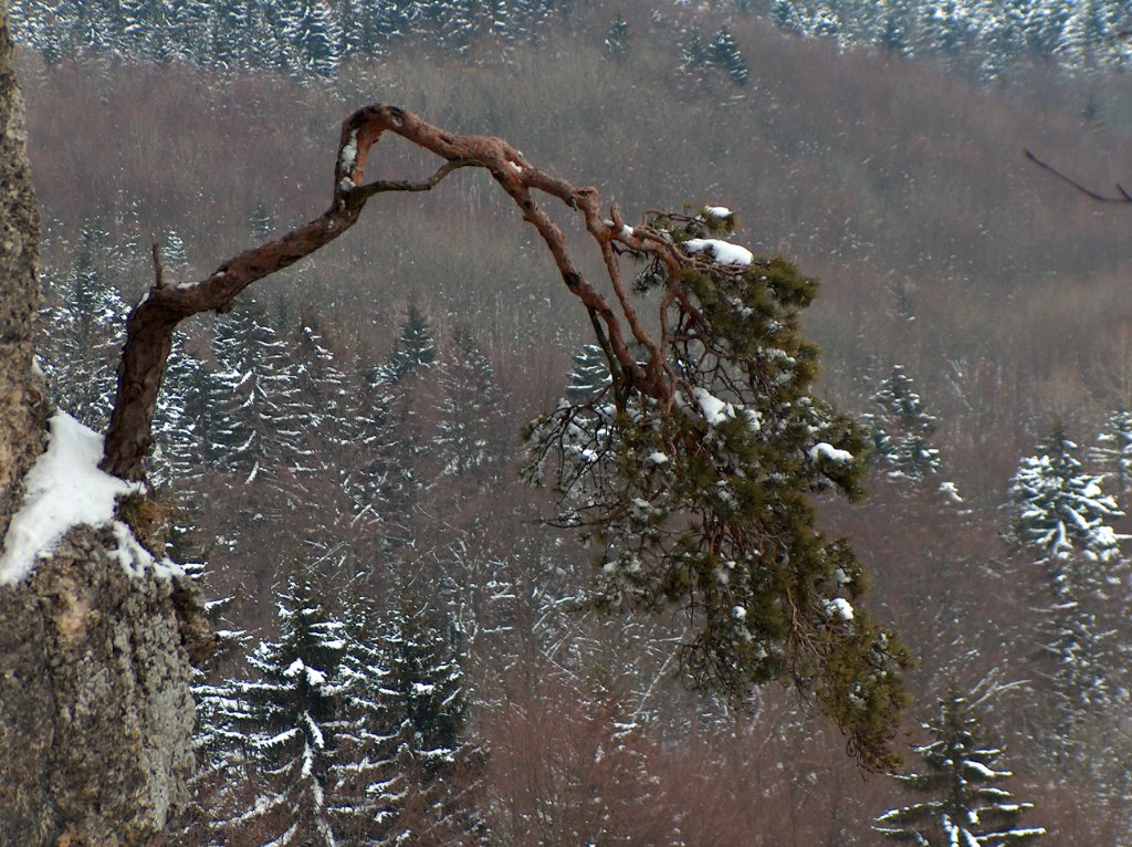 HPIM1107.JPG