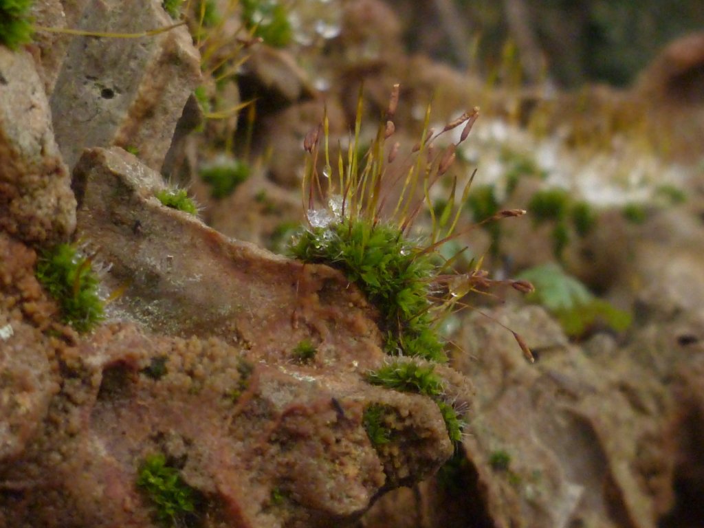 P1020891.JPG