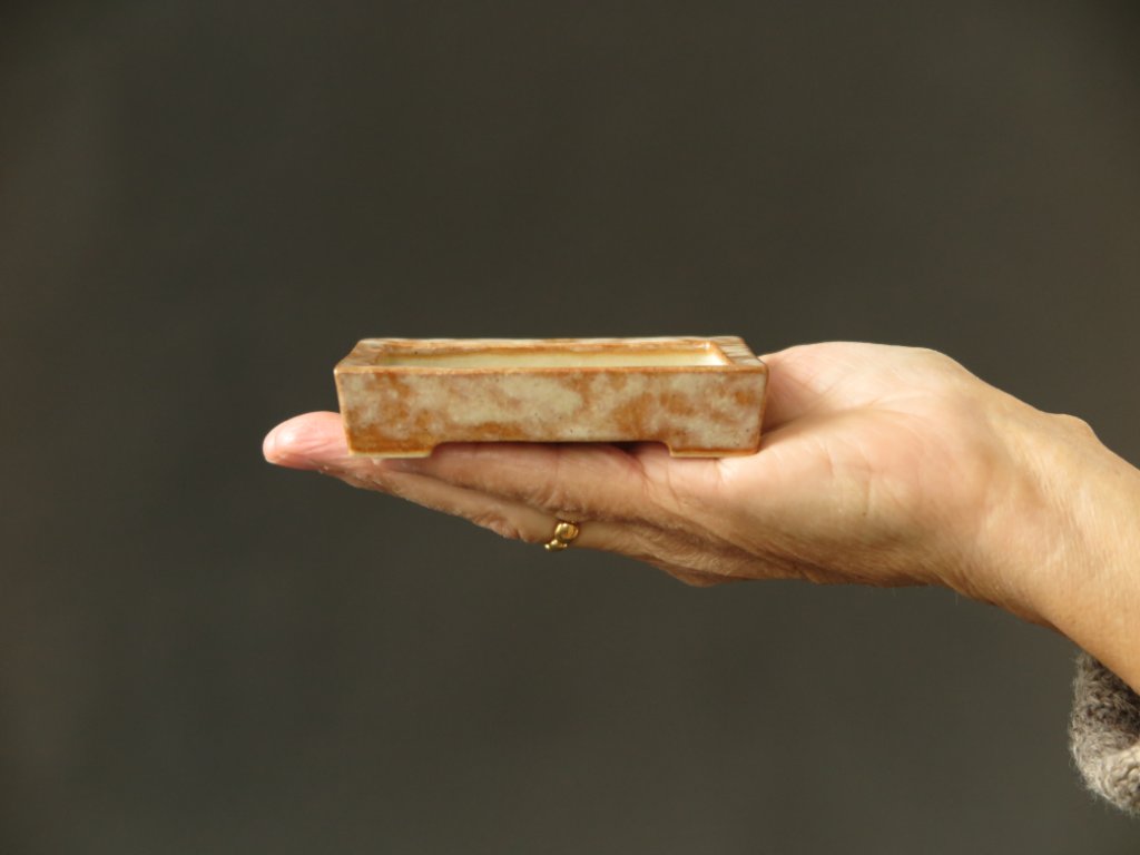 Nr. 2043  Grösse: 9.2 x 6.4 x 2 cm