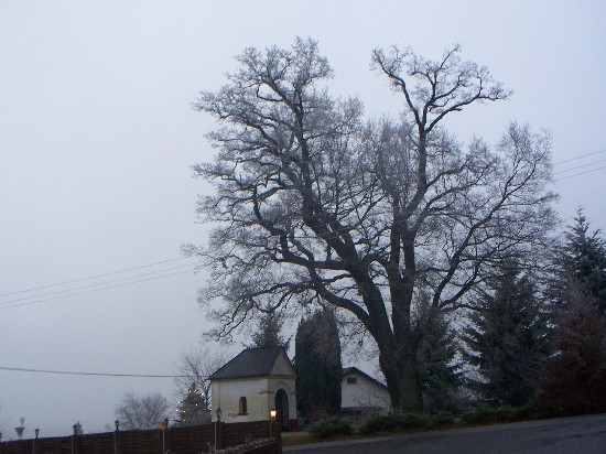 auf dem Rückweg bei Wolken