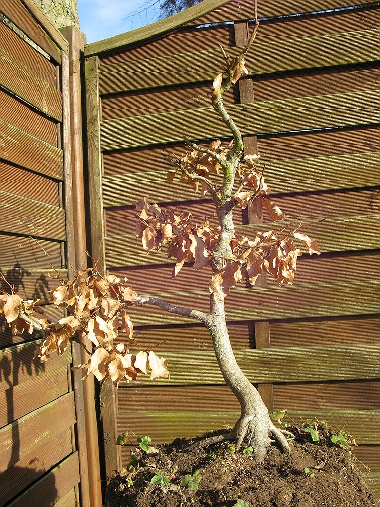2011 Herbst