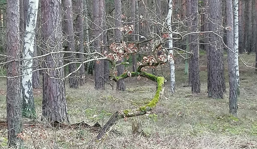 cvb.jpg
