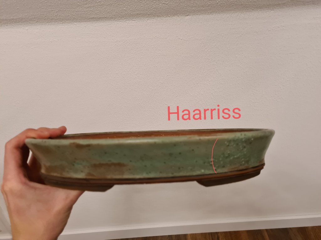 Grün 1.jpg
