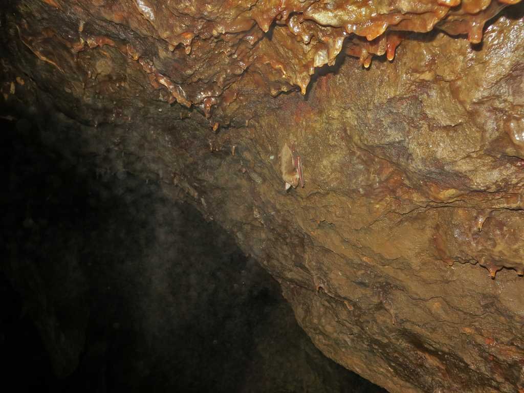 04.JPG