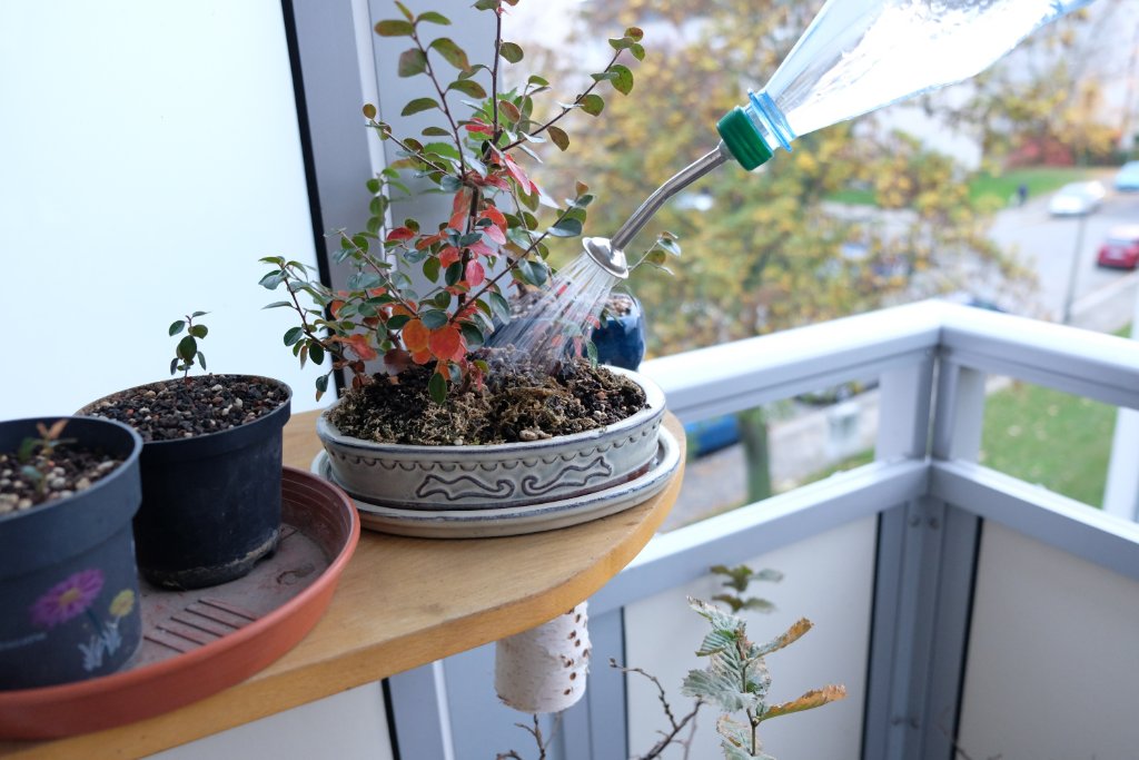 Flasche füllen, zuschrauben und gießen...