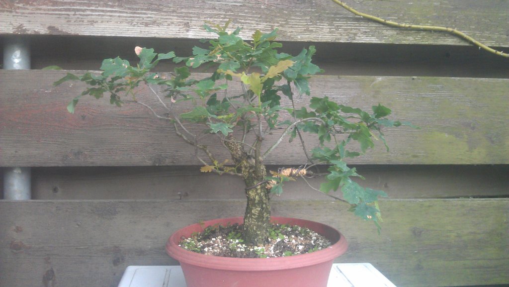 IMAG0216.jpg
