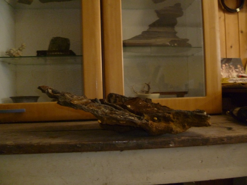 P1020916.JPG