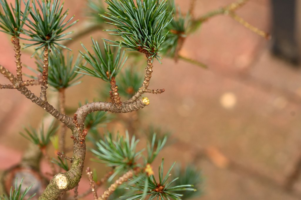 20210301_f.jpg
