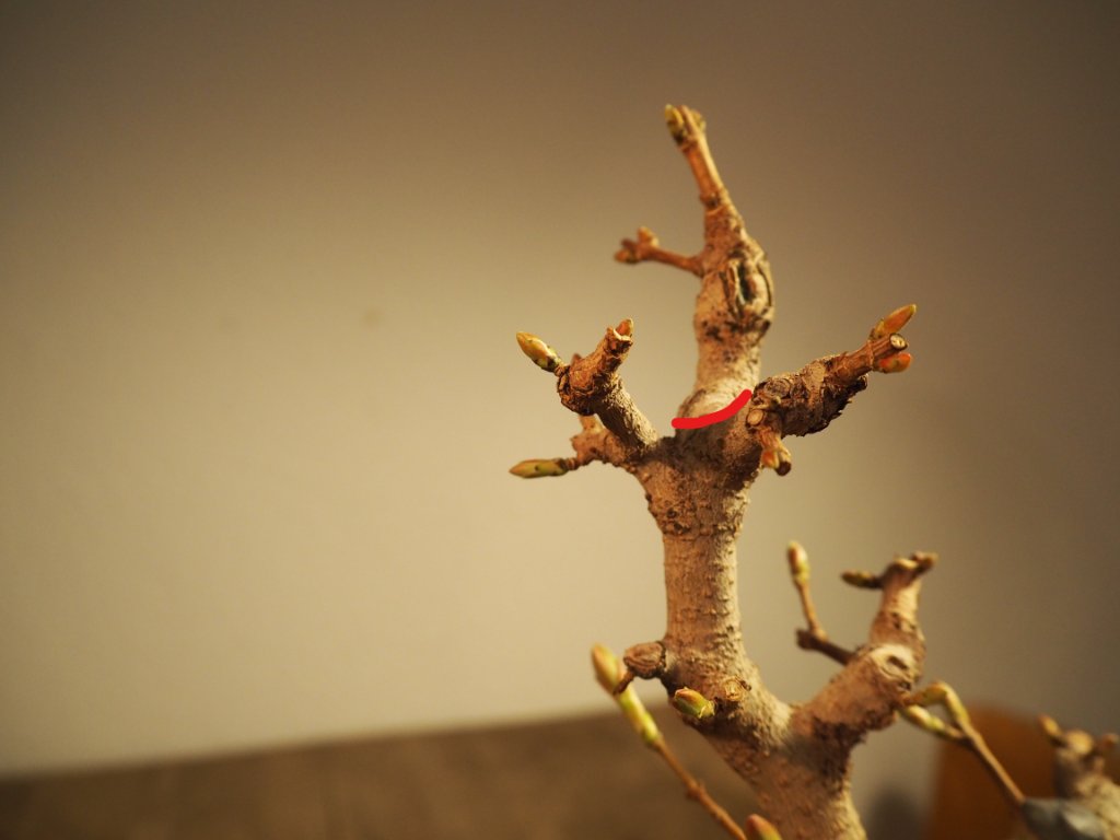 InkedP1010067 (2)_LI.jpg